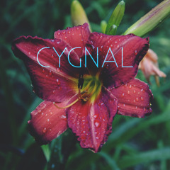 Cygnal