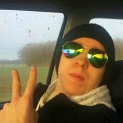 Hannes Zoellner
