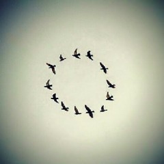 Center Of The Circle