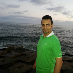 Mahmoud Morsy Mohamed