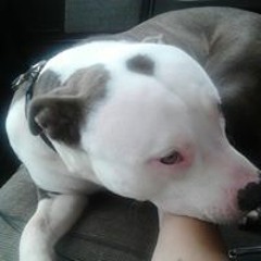 Barry Jerome Saddler