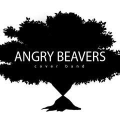 Angry Beavers Cover Band