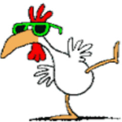 Mr Chikn