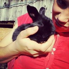 Laura Volkavičiūtė