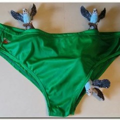 Budgie Smuggla