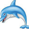 GuGuDolphin