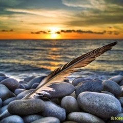 Mekteb Tevhid & Sunneh