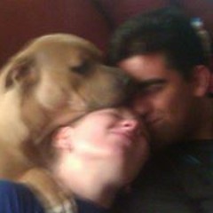 Jamie Dogma Castaway