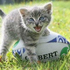 The Line Break Podcast