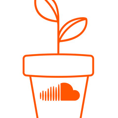 Learning & Development