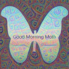 Good Morning Moth