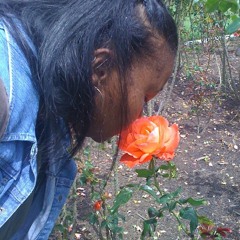 The Sensuality Project