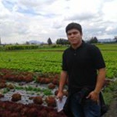 Fredy Albeiro Galindo