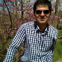 Alireza H