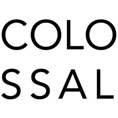 colossalshows
