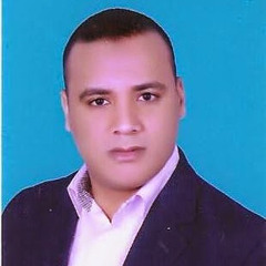 Mohamed Fathi Mohamed