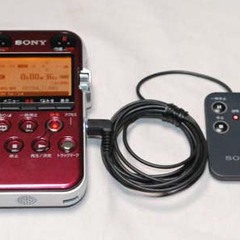 Sounds Archive by Momoko