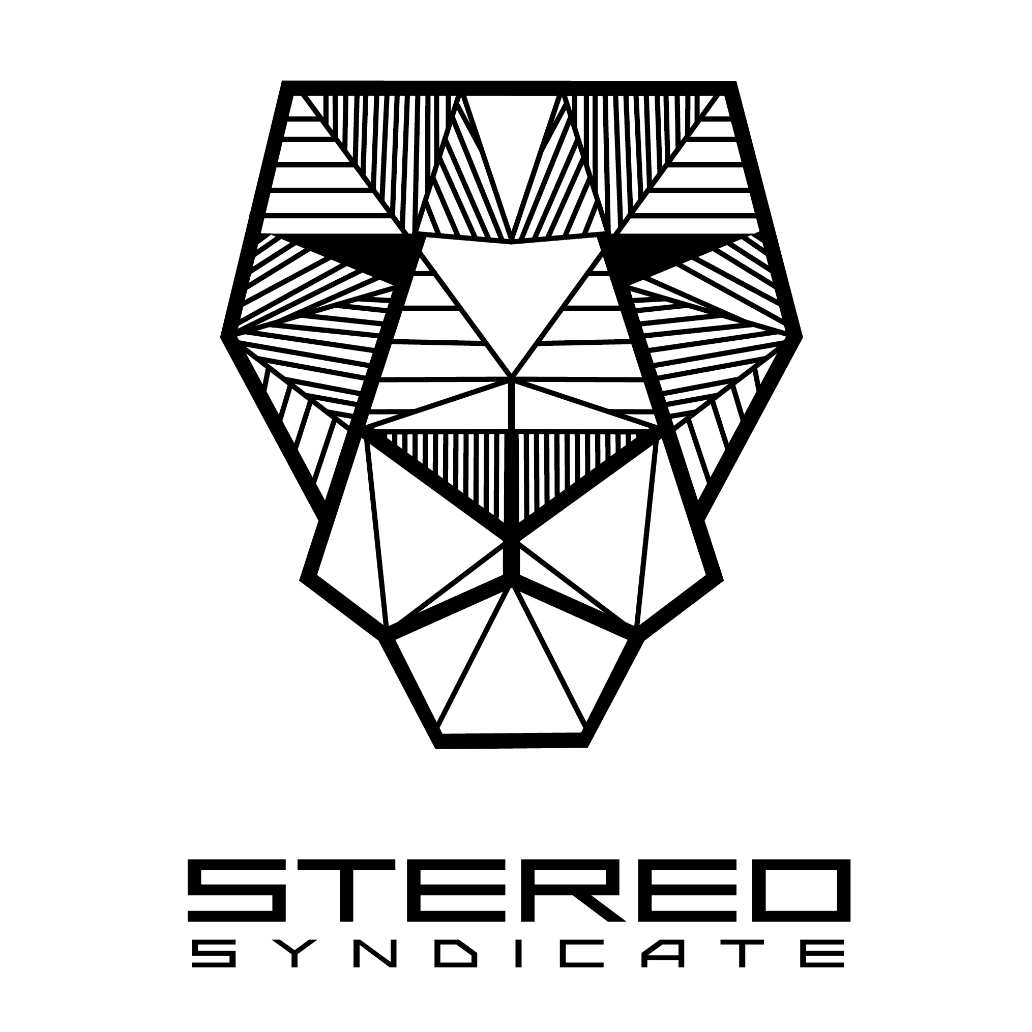 Stereo Syndicate Radio
