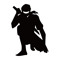 House Ninja
