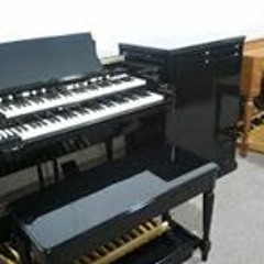 Talented Musicians Minnis