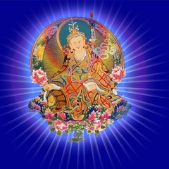Samdhong Rinpoche