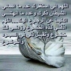 user724432624