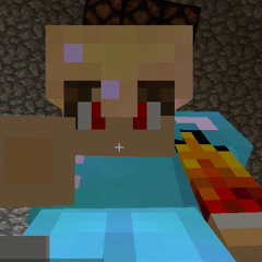 THE Xx_minecrafter_xX