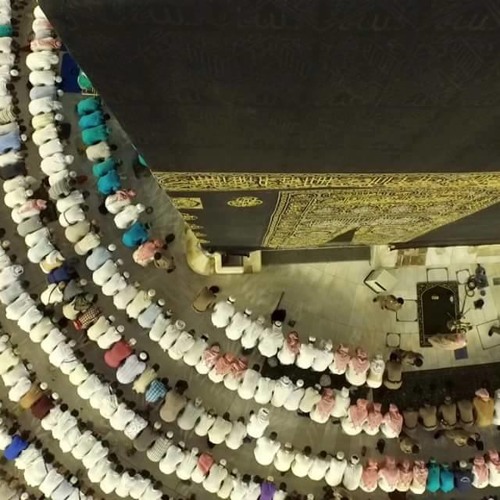 سور الم