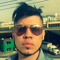 Alejandro Vasquez Bravo