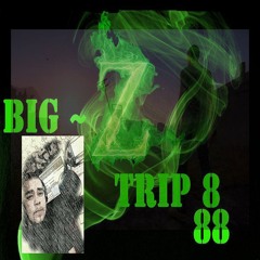 BigZtrip8