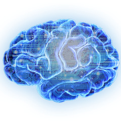 Neural Network