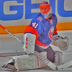 NHL-ROCKS!!!!!