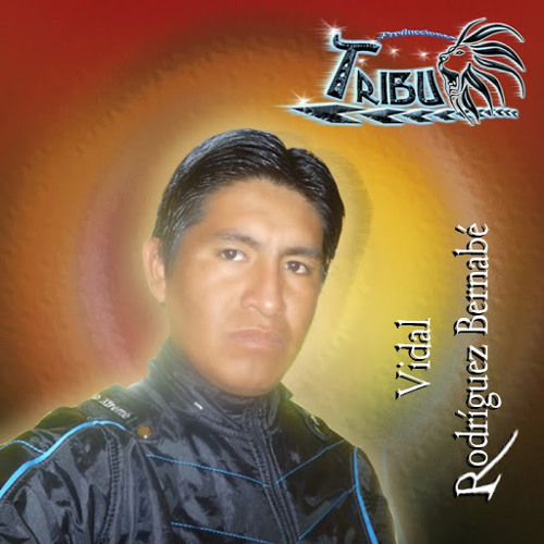Vidal Rodríguez Bernabé’s avatar