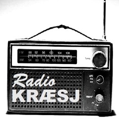 Radio Kræsj