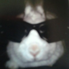 Rabbit Boy Rapper