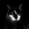 Wicked_Claude