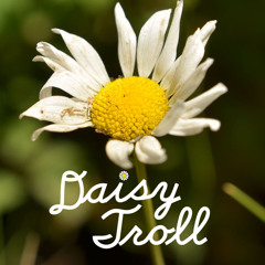 Daisy Trolls