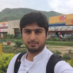 Syed Abbas Bukhari