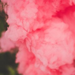 Pink Slime Inc.