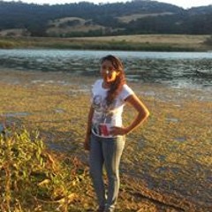 user208528886