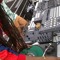 Dj After