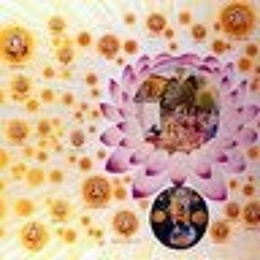 Gaura-Nitai Das aka Rush