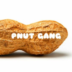 PNutGang