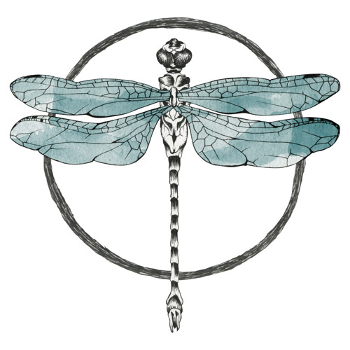 Stream Dragonfly Collector music | Listen to songs, albums, playlists ...