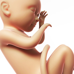 The DreamsForge Project