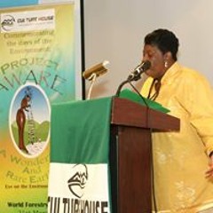 Patricia Niles-Dalrymple