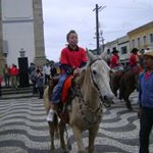 Affonso Henrique’s avatar