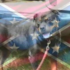 Lugeneandstanley Holbrook