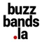 buzzbands