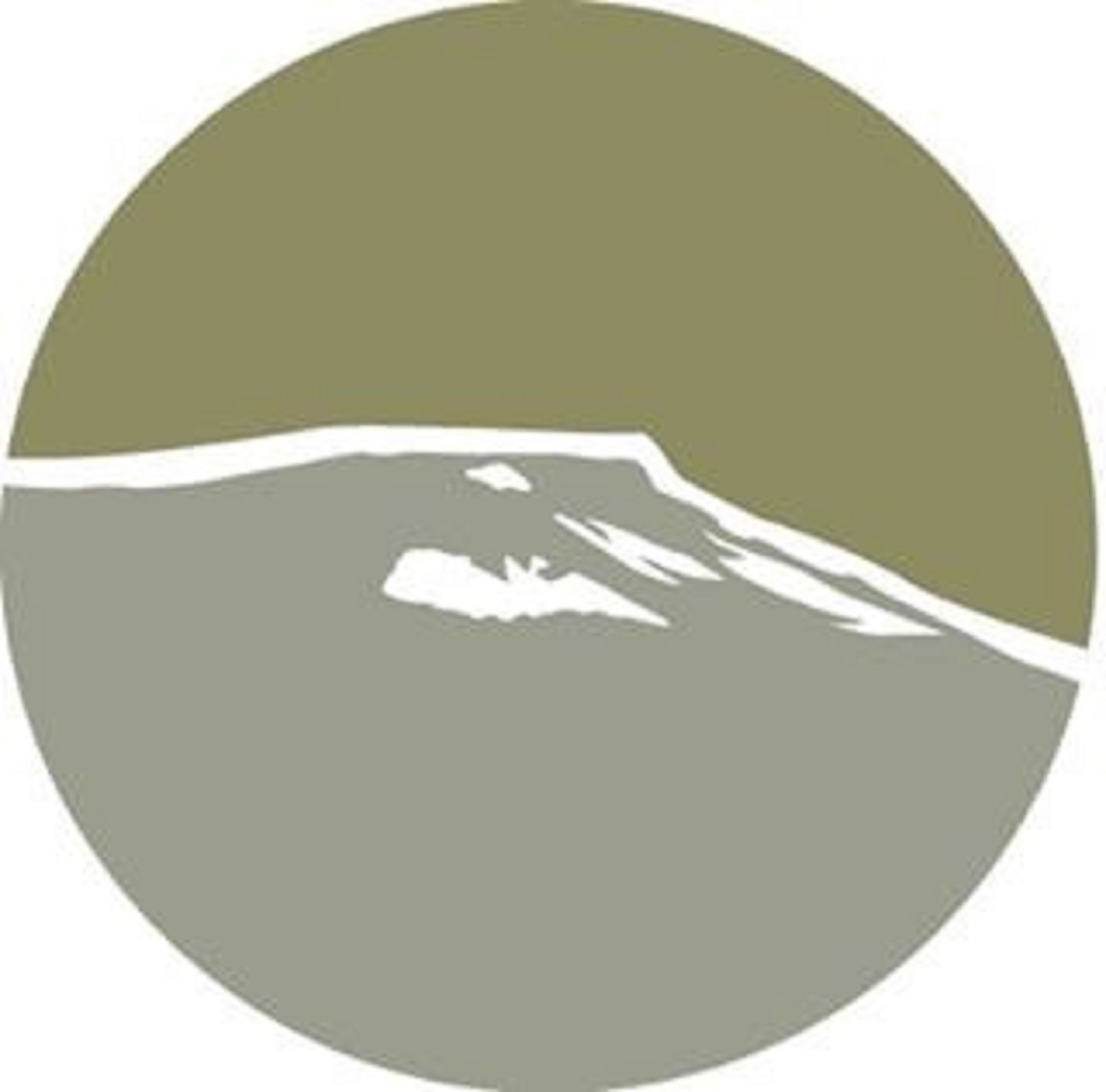 New Song Community Church cover art